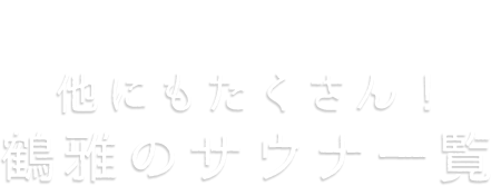 サ旅に最適！サウナリニューアルの宿